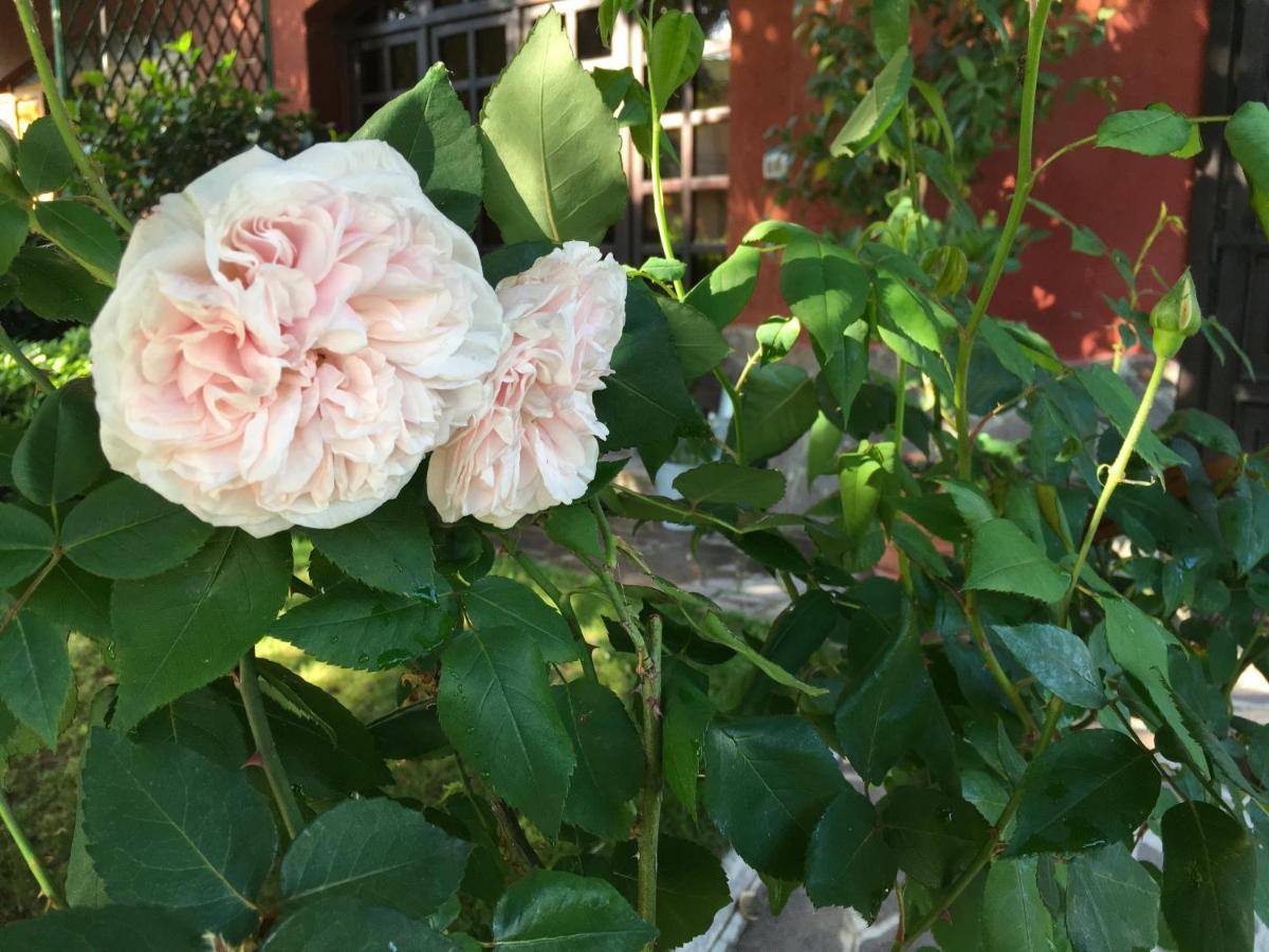 דירות סאן דונאטו מילאנזה House&Garden מראה חיצוני תמונה