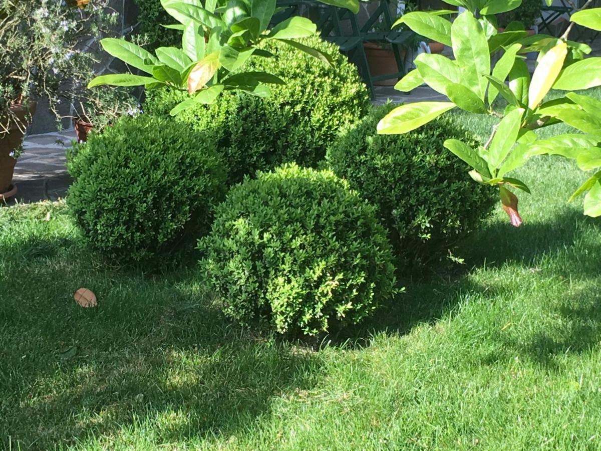 דירות סאן דונאטו מילאנזה House&Garden מראה חיצוני תמונה